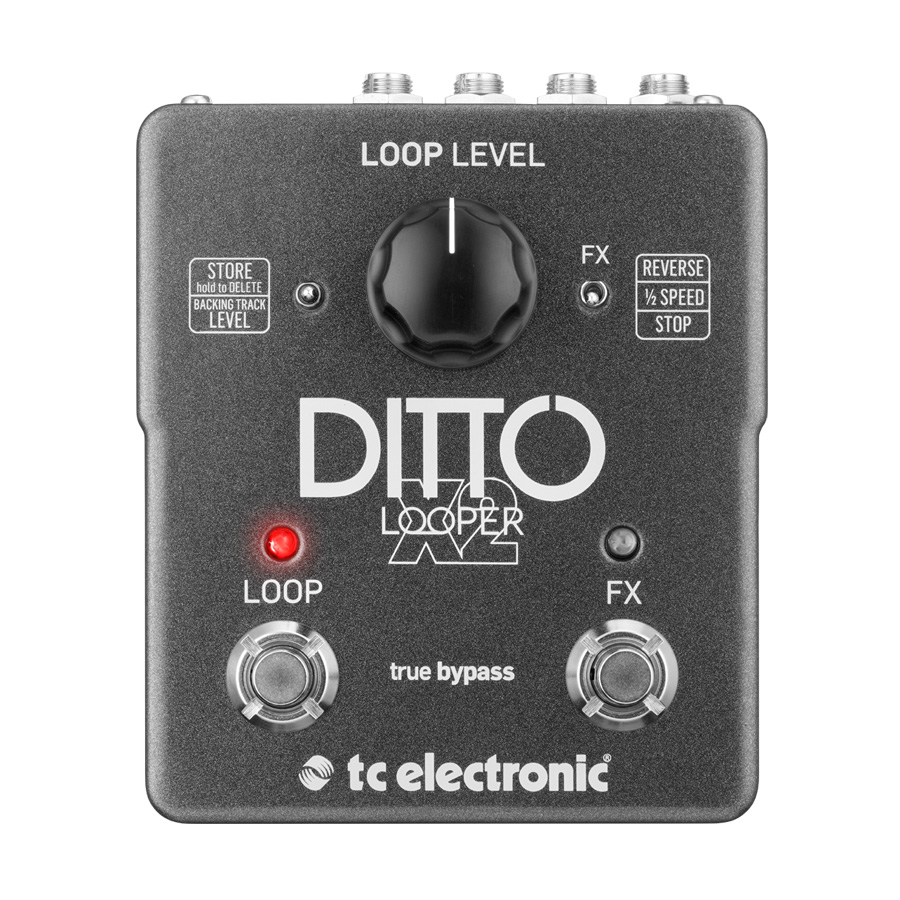 Ditto
