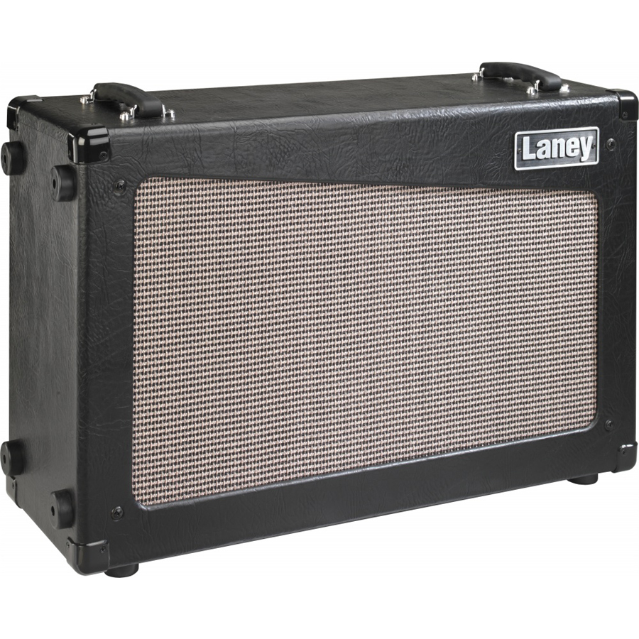 Laney Cub