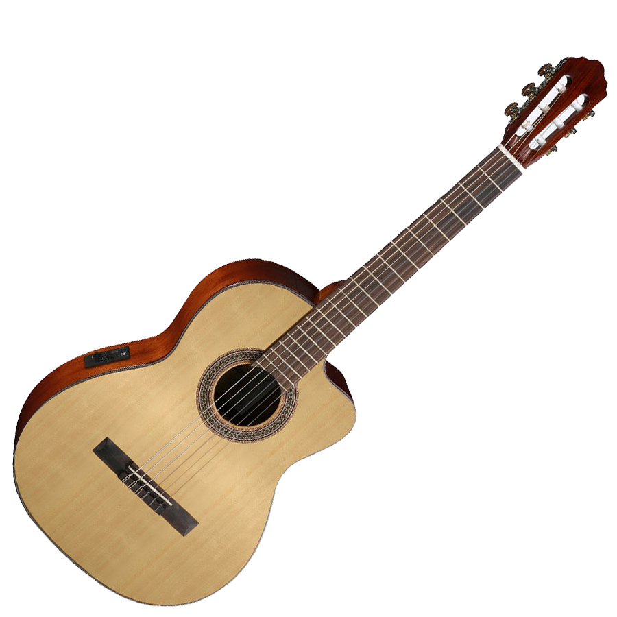 Cort AC120CE