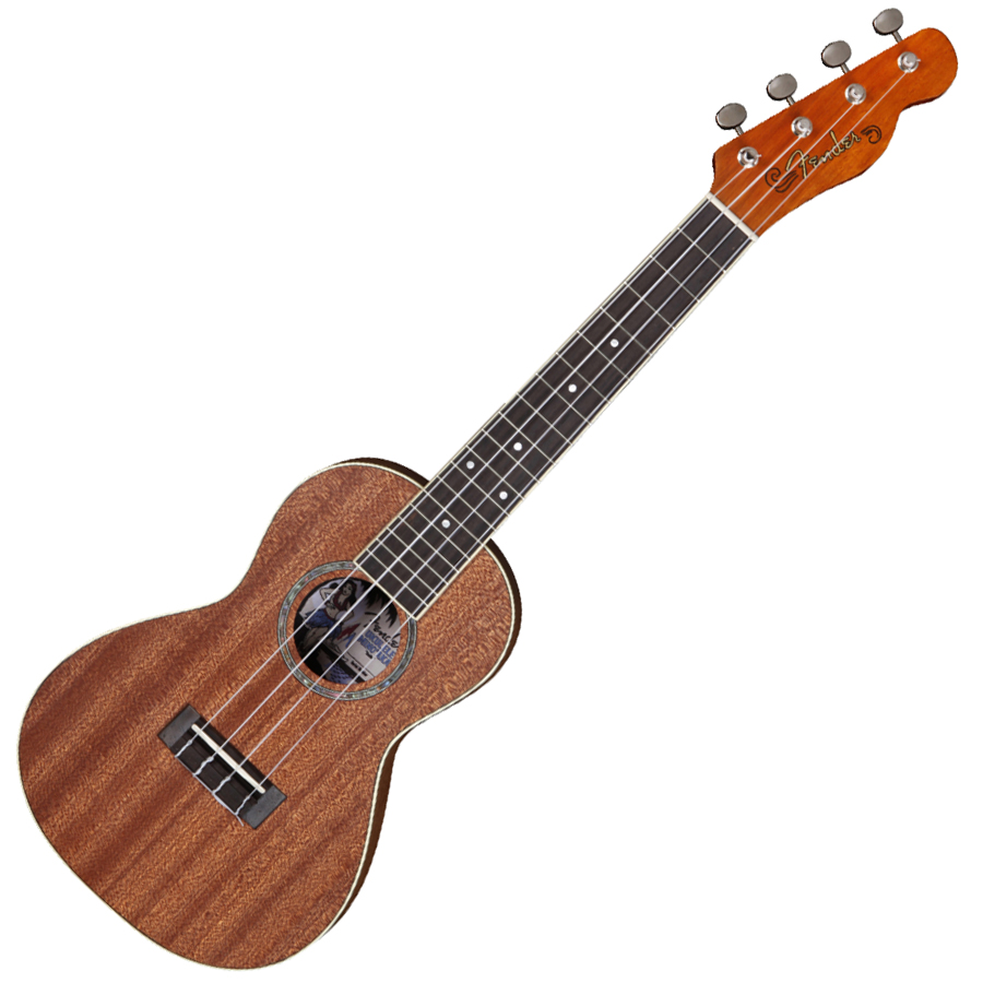 FENDER MINO'AKA