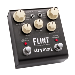 Strymon Flint