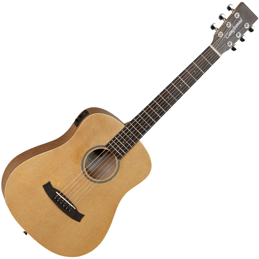 Tanglewood TW2-TSE