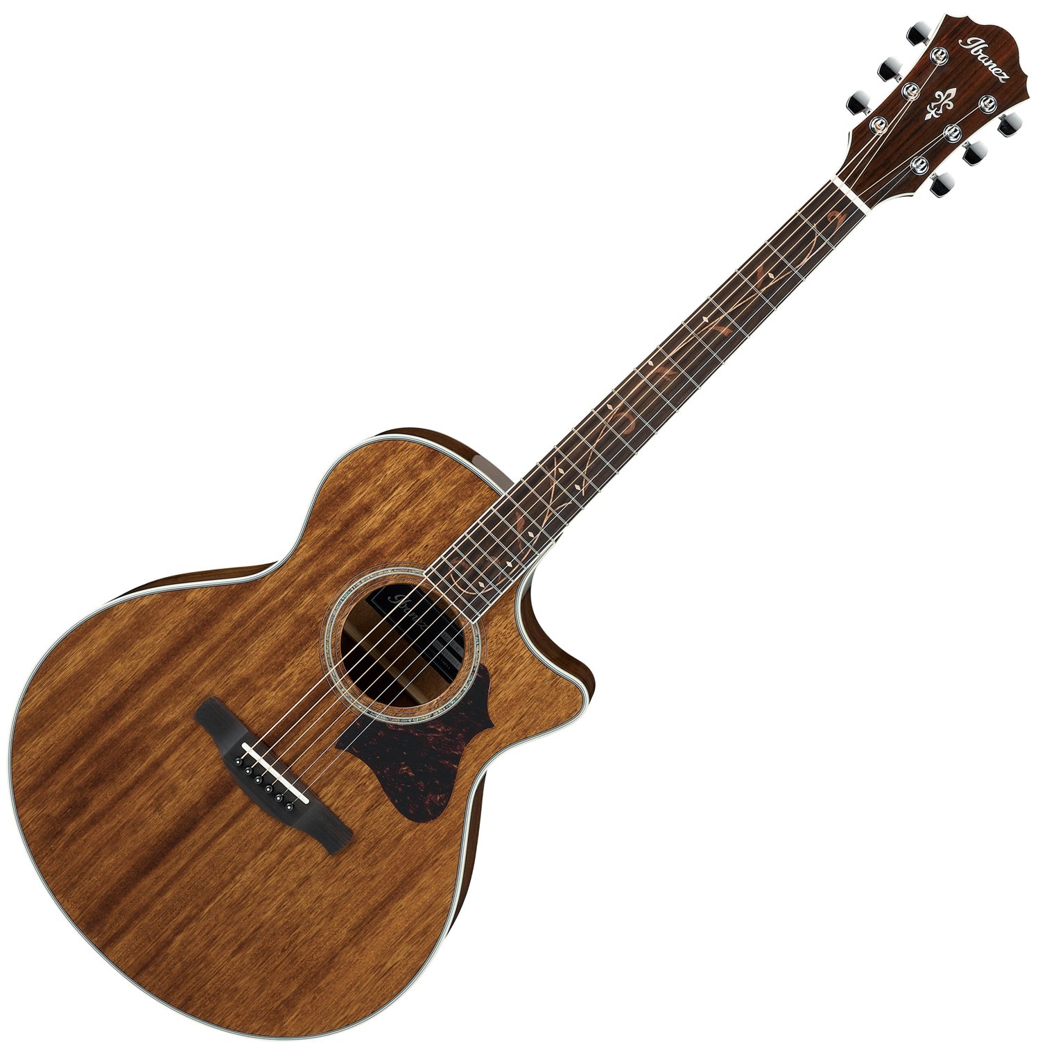 Ibanez AE245NT
