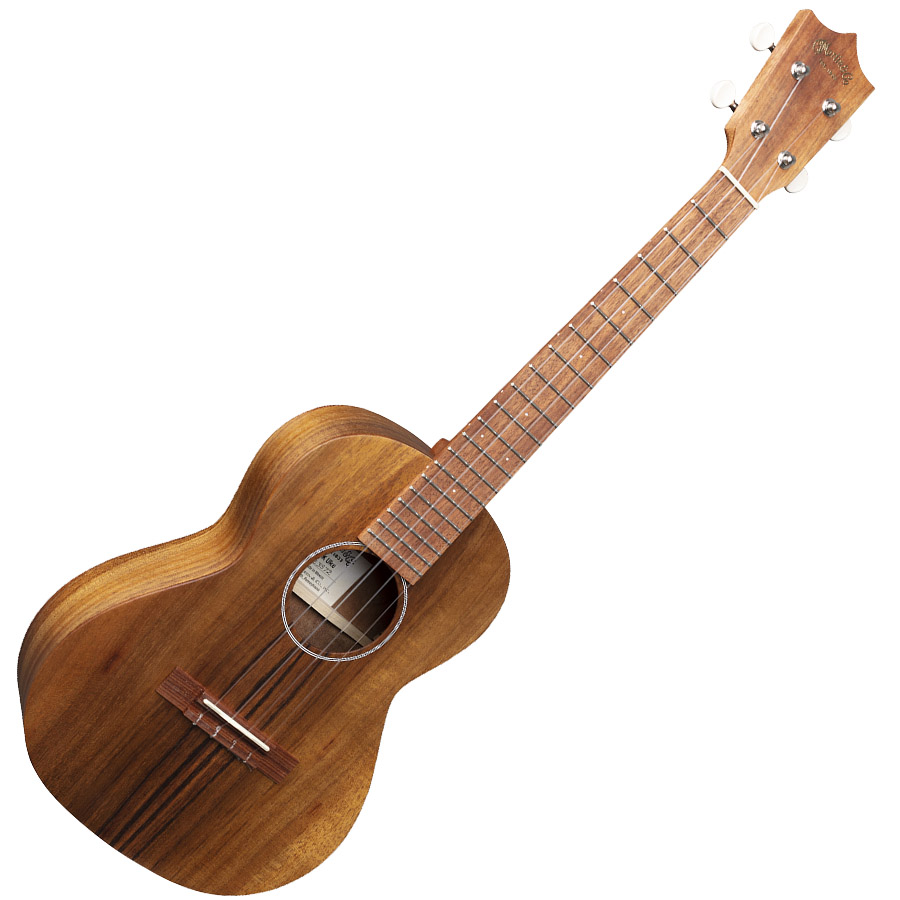 Martin T1K