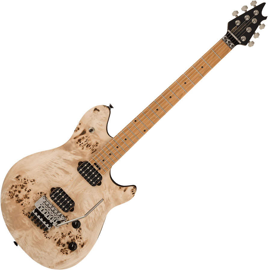EVH Wolfgang WG Standard