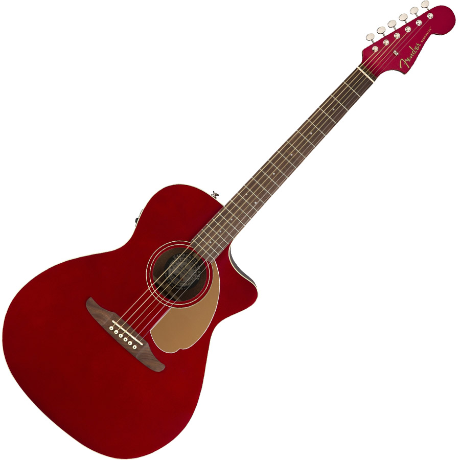 Fender Newporter