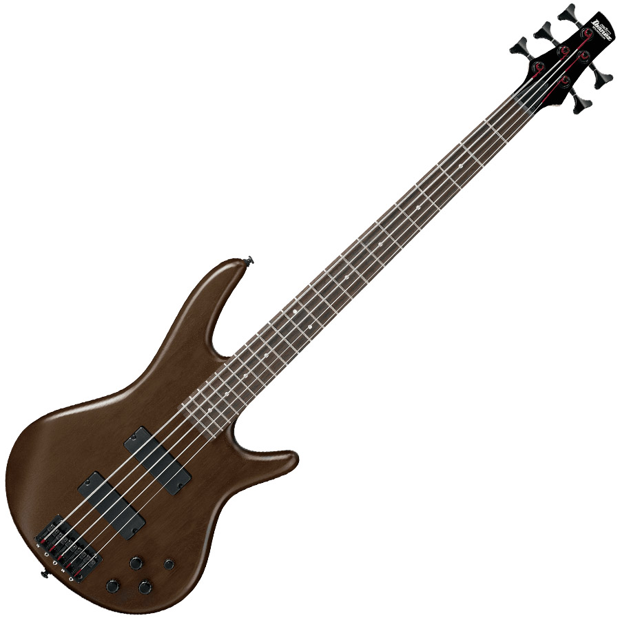 Ibanez GSR205BWNF