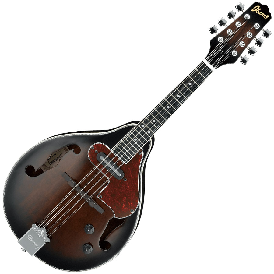 Ibanez M510EBS